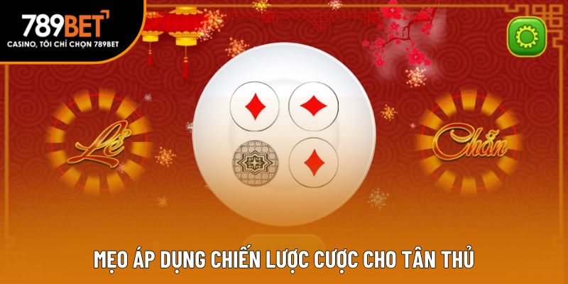 Mẹo áp dụng chiến lược cược cho tân thủ